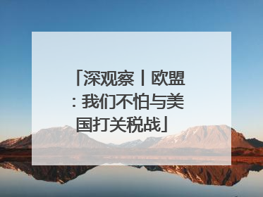 深观察丨欧盟：我们不怕与美国打关税战