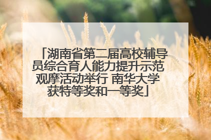 湖南省第二届高校辅导员综合育人能力提升示范观摩活动举行 南华大学获特等奖和一等奖