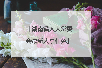湖南省人大常委会最新人事任免