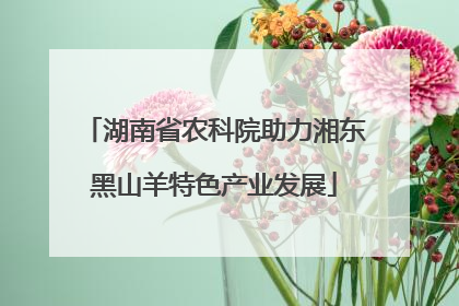 湖南省农科院助力湘东黑山羊特色产业发展