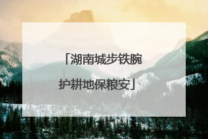湖南城步铁腕护耕地保粮安