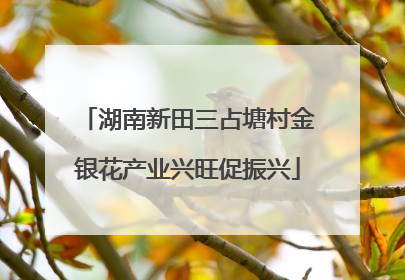 湖南新田三占塘村金银花产业兴旺促振兴