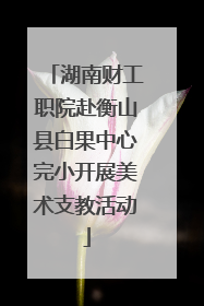 湖南财工职院赴衡山县白果中心完小开展美术支教活动