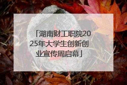 湖南财工职院2025年大学生创新创业宣传周启幕