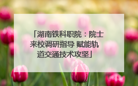 湖南铁科职院：院士来校调研指导 赋能轨道交通技术攻坚