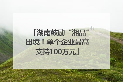 湖南鼓励“湘品”出境！单个企业最高支持100万元