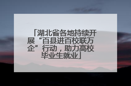 湖北省各地持续开展“百县进百校联万企”行动，助力高校毕业生就业