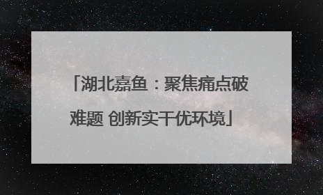 湖北嘉鱼：聚焦痛点破难题 创新实干优环境