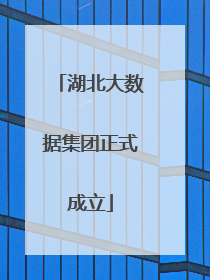 湖北大数据集团正式成立
