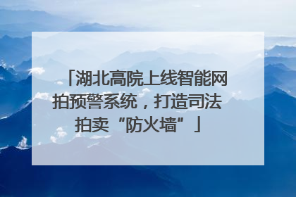 湖北高院上线智能网拍预警系统，打造司法拍卖“防火墙”