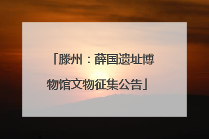 滕州：薛国遗址博物馆文物征集公告