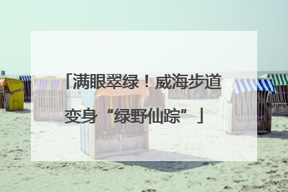 满眼翠绿！威海步道变身“绿野仙踪”