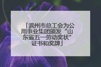 滨州市总工会为公用事业集团颁发“山东省五一劳动奖状”证书和奖牌
