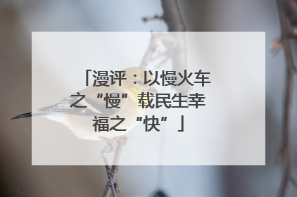 漫评：以慢火车之“慢”载民生幸福之“快”