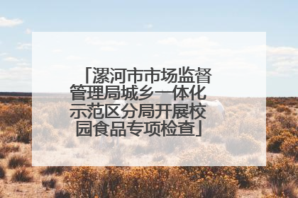 漯河市市场监督管理局城乡一体化示范区分局开展校园食品专项检查