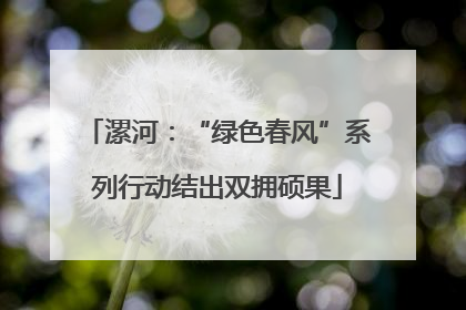 漯河：“绿色春风”系列行动结出双拥硕果