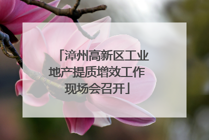 漳州高新区工业地产提质增效工作现场会召开