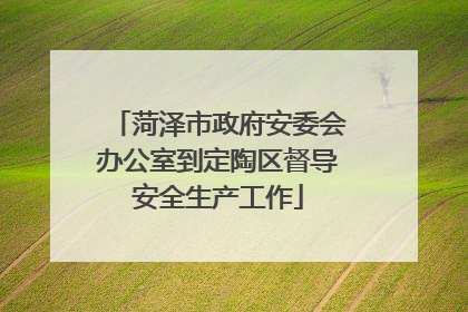 菏泽市政府安委会办公室到定陶区督导安全生产工作