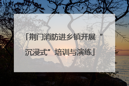 荆门消防进乡镇开展“沉浸式”培训与演练