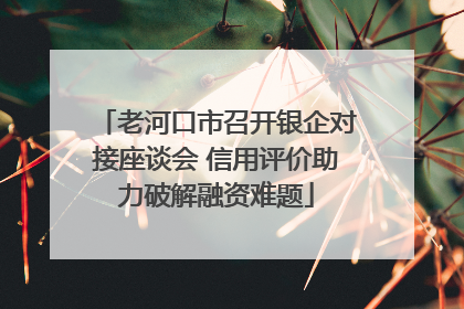 老河口市召开银企对接座谈会 信用评价助力破解融资难题