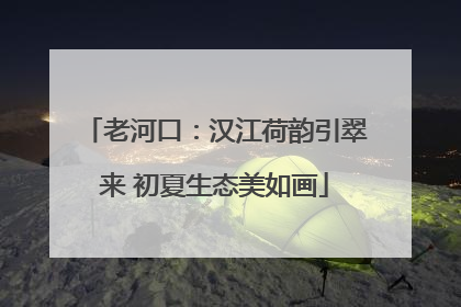 老河口：汉江荷韵引翠来 初夏生态美如画