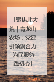 聚焦北大荒｜青龙山农场：党建引领聚合力 为民服务践初心
