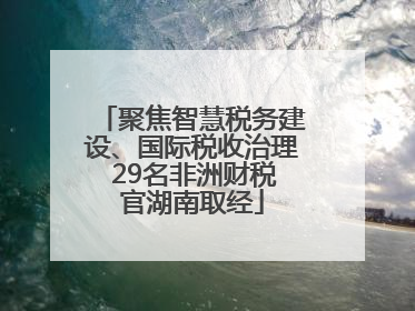 聚焦智慧税务建设、国际税收治理 29名非洲财税官湖南取经