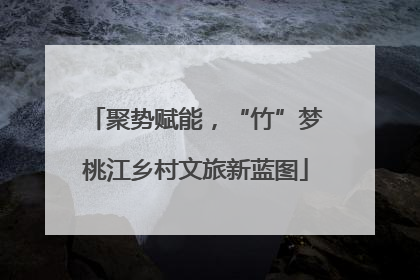 聚势赋能，“竹”梦桃江乡村文旅新蓝图