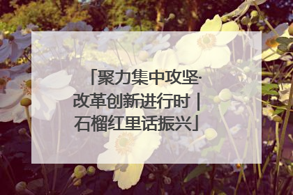 聚力集中攻坚·改革创新进行时｜石榴红里话振兴