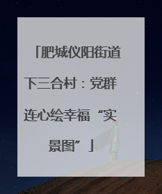 肥城仪阳街道下三合村：党群连心绘幸福“实景图”