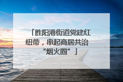 胜阳港街道党建红纽带，串起商居共治 “烟火圈”