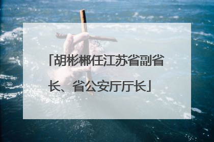胡彬郴任江苏省副省长、省公安厅厅长