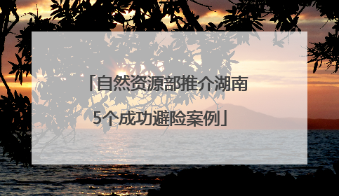 自然资源部推介湖南5个成功避险案例