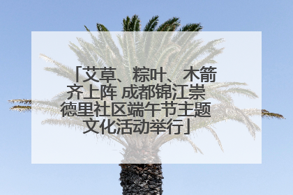 艾草、粽叶、木箭齐上阵 成都锦江崇德里社区端午节主题文化活动举行
