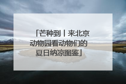 芒种到丨来北京动物园看动物们的夏日纳凉图鉴