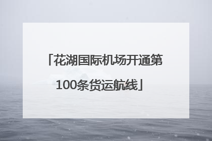 花湖国际机场开通第100条货运航线