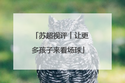 苏超视评︱让更多孩子来看场球