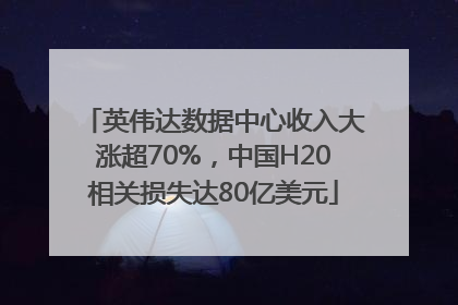 英伟达数据中心收入大涨超70%，中国H20相关损失达80亿美元