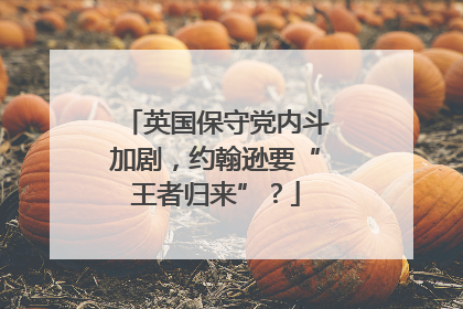 英国保守党内斗加剧，约翰逊要“王者归来”？