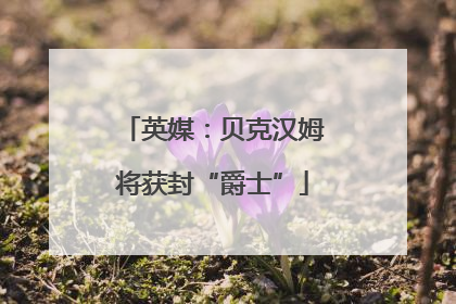 英媒：贝克汉姆将获封“爵士”