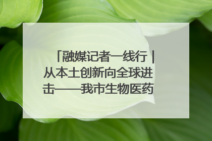 融媒记者一线行｜从本土创新向全球进击——我市生物医药产业破茧突围