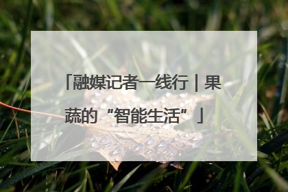 融媒记者一线行｜果蔬的“智能生活”