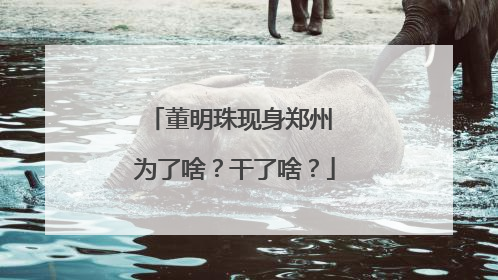 董明珠现身郑州 为了啥？干了啥？