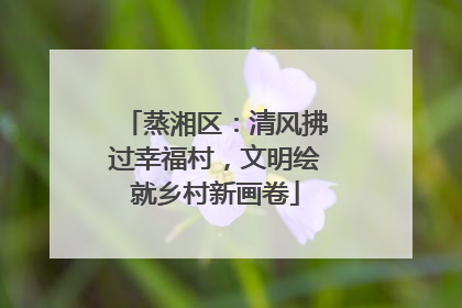 蒸湘区：清风拂过幸福村，文明绘就乡村新画卷