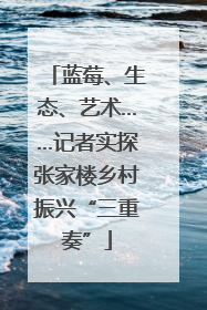 蓝莓、生态、艺术……记者实探张家楼乡村振兴“三重奏”