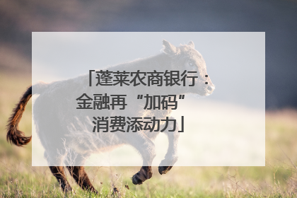 蓬莱农商银行：金融再“加码” 消费添动力