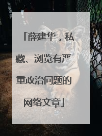 薛建华，私藏、浏览有严重政治问题的网络文章