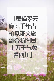 蜀道翠云廊：千年古柏见证文旅融合新图景丨万千气象看四川