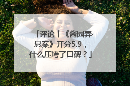 评论丨《酱园弄·悬案》开分5.9，什么压垮了口碑？
