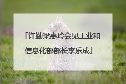 许勤梁惠玲会见工业和信息化部部长李乐成
